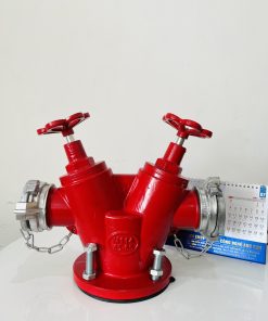 Trụ V chữa cháy 2 cửa D65