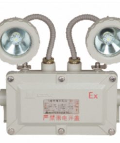 Đèn sự cố chống nổ EEW LM-ZFZD-E4W