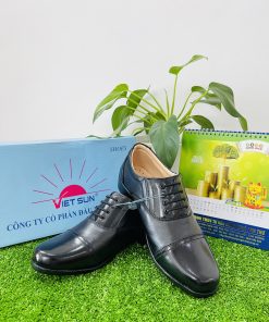 Giày bảo vệ cao cấp