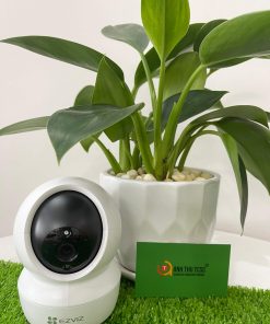 Camera Wifi không dây C6N