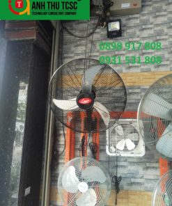 Quạt treo tường DWI 2460